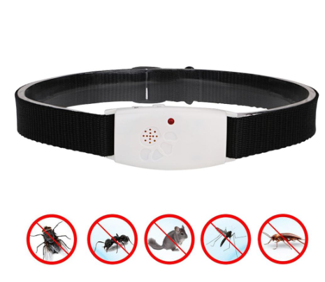 Dog insect repeller