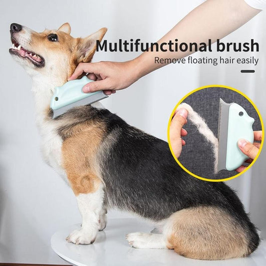 The New Pet Comb Automatically Fading